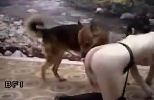 Doggy phong cách fucks ngoài trời